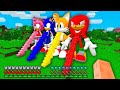 STAIRCASE TO SONIC KNUCKLES TAILS AMY ROSE in Minecraft