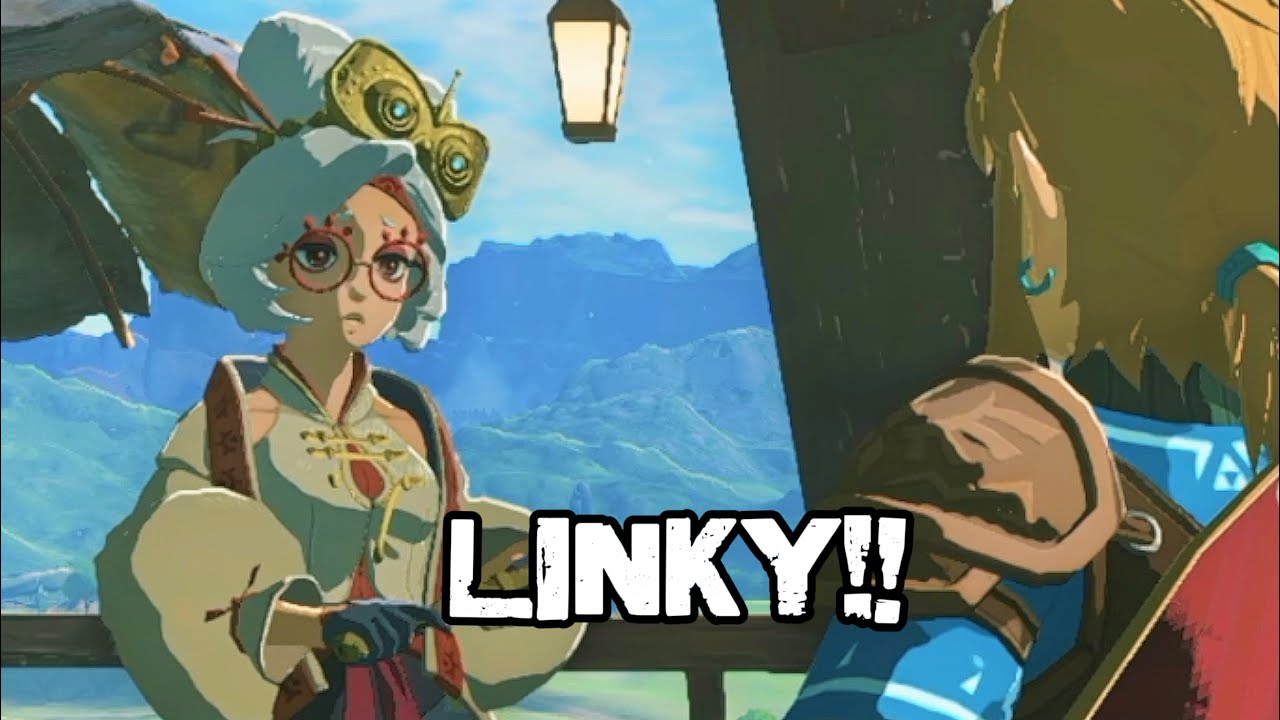 Purah: Link, we need to talk about Zelda. (Widescreen long form edit)