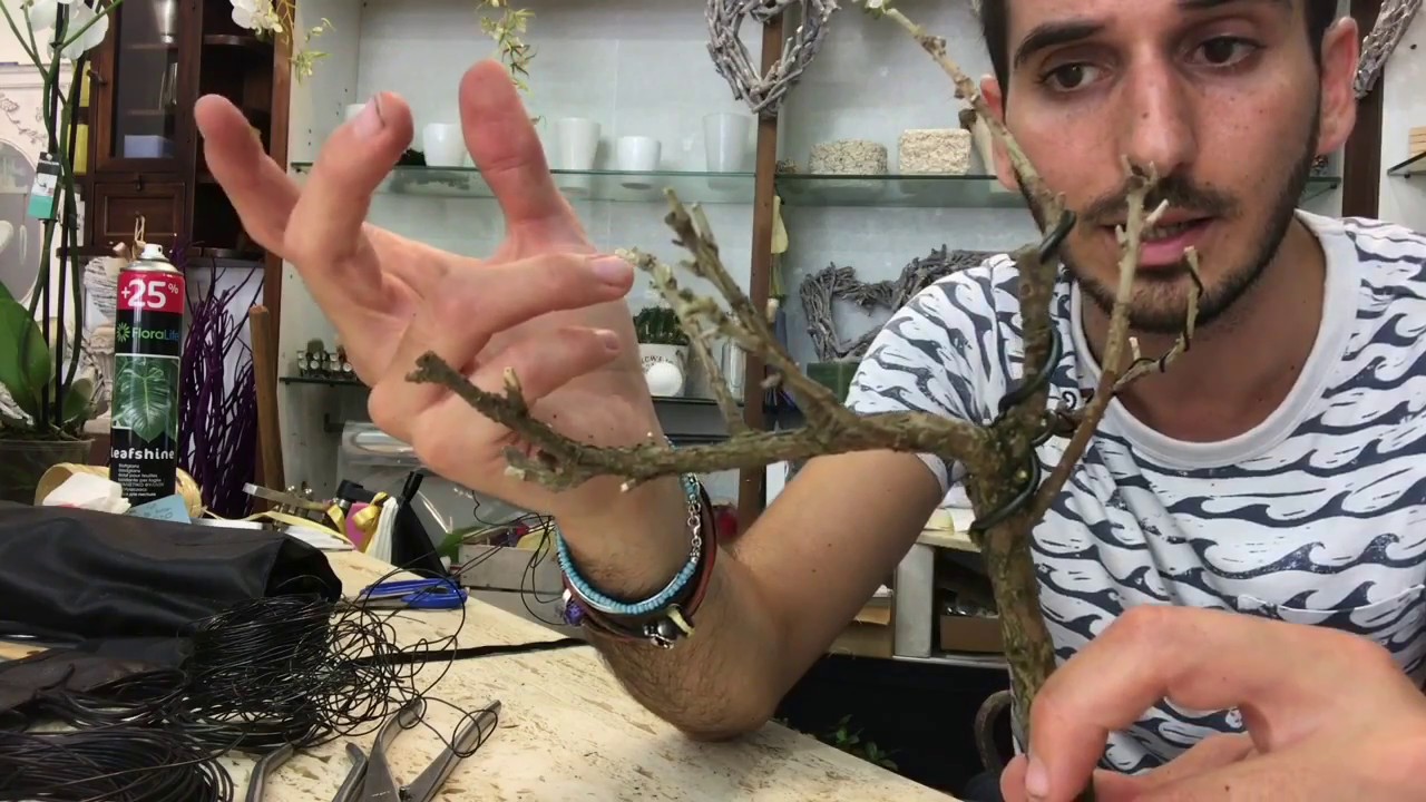 Avvolgimento? Vediamo come iniziarlo!