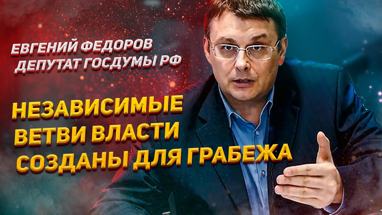 Независимые друг от друга ветви власти созданы для грабежа - Федоров ...