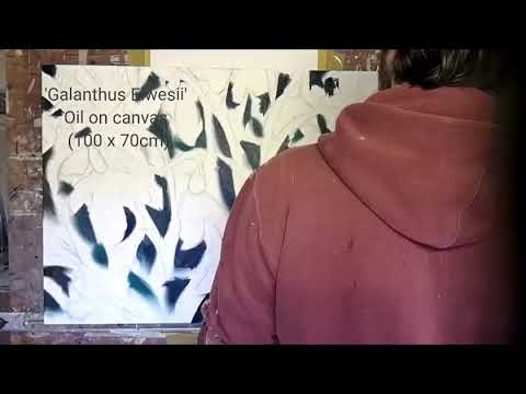 'Galanthus Elwesii' painting