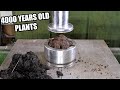 Can you turn Peat into Fuel Briquettes with Hydraulic Press?