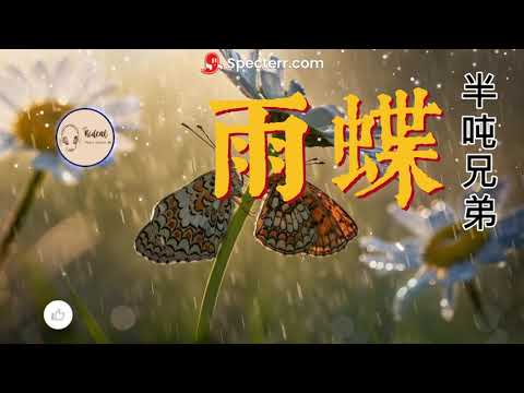 雨蝶   半吨兄弟 @ 歌词 Lyrics
