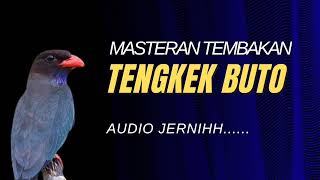 MASTERAN TENGKEK BUTO. Disertai Jeda 1 Menit. Masteran Burung Kekinian dengan Audio Jernih.