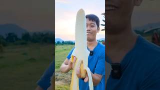 &quot;Banana Tree’s Secret: Why It’s Cut After Just ONE Harvest!&quot;