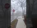 Lost in the Fog🌫️ #shorts #mist #foggy #torontolife