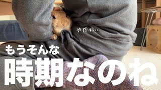 そろそろアレの季節になりました #735