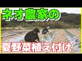 【夏野菜編#2】夏野菜の育て方＆品種解説