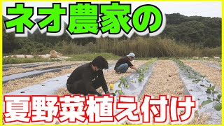 【夏野菜編#2】夏野菜の育て方＆品種解説