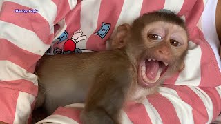 Notor!ous Lil Haya Big Mouth yawning Very Sleepy While Lonely Playing
