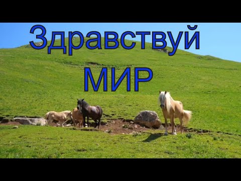 Здравствуй мир, здравствуй друг ! Песня про мир ! Song about peace !