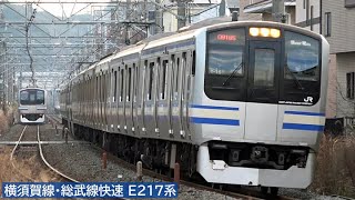 横須賀線・総武線快速E217系 2021年1・2月