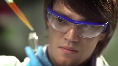 The Computer, Electrical and Mathematical Sciences and Engineering Division at KAUST