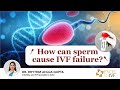 How can sperm cause IVF failure? Sperm DNA Fragmentation Test | Dr Rhythm Gupta - IVF Specialist