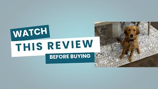 Washable area rug that you need! | PURRUGS
