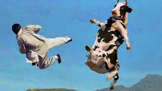 الرجل الخارق وأقوي قتال جنوني مع البقرة - كونغ بو 🔥 (مُترجم) - Kung Pow! Enter the Fist