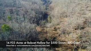 14.9 acres for $500 down w/ DEER & creek bed at Bobcat Hollow in MO - ID#BH18