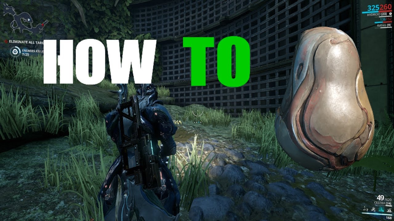 kubrow egg  Update New  HOW TO Get KUBROW Eggs in Warframe!