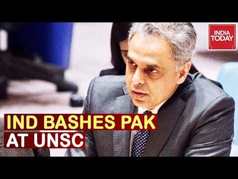 "Pak Misleading World, China's View Not Global" India Statement At UNSC