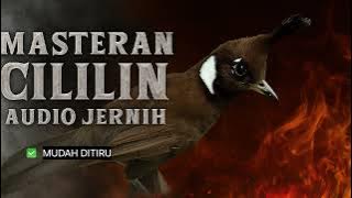 Burung Cililin Gacor, Audio Jernih, Jeda Air #masteranburung #masterancililin #cililingacor 