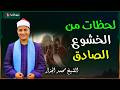 ابتهال نادر يهز القلوب في مدح النبي ﷺ الشيخ محمد الجزار