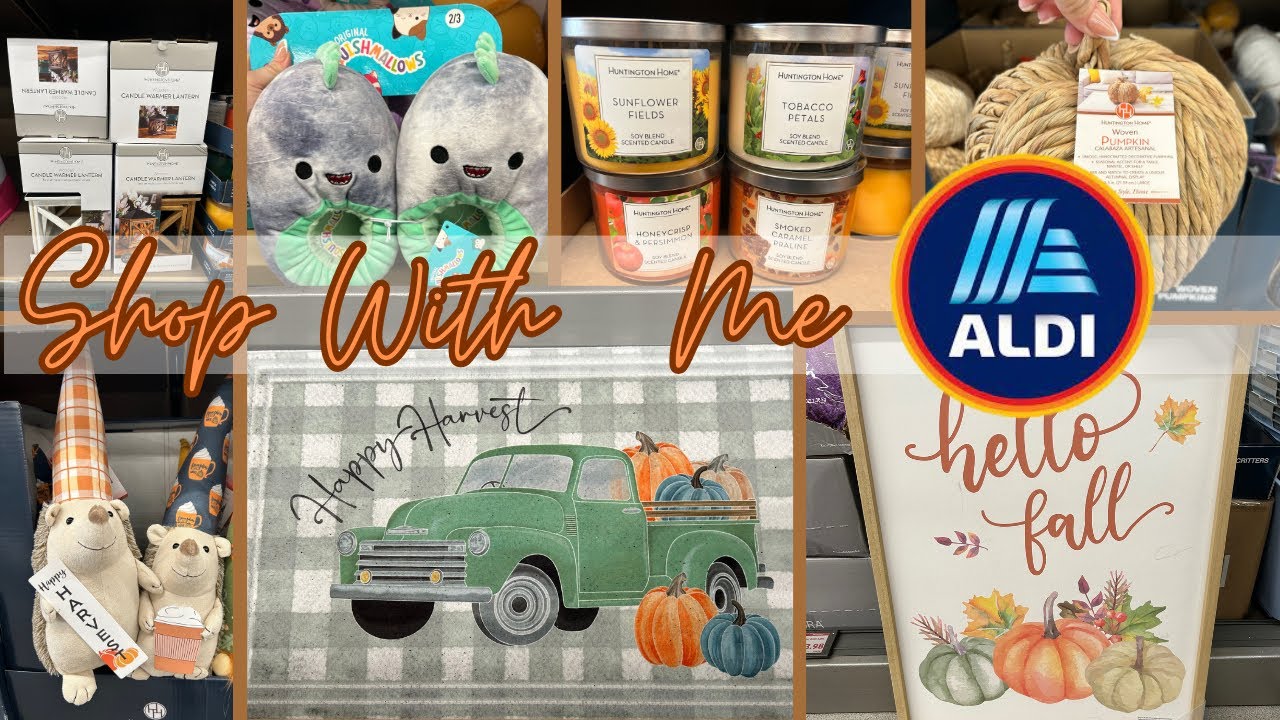 ALDI NEW SHOPPING HAUL - WHATS  NEW AT ALDI FOR FALL ~ CLEARANCE AT ALDI