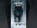 FENRIR – Oath of the Gods (ALBUM COMING SOON 🔥) SKALVYR #shorts