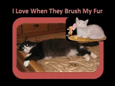 Badger's Story - Melanie's Cat - Phyllis Taylor