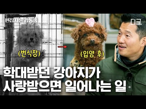 [#고독한훈련사] (100분) 사랑만 줘도 모자란 반려견의 충격적인 과거😭 사람에 대한 두려움까지 있었던 반려견이 마음을 열기까지😢 | #편집자는