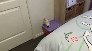 IMG 0559 IMG 0559