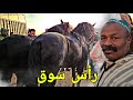 سوق الخميسات بدريس والعربي سايح شراو 2 الخيل دهمين ملاح رأس سوق مباشرة بالورق ديالهم وباعوهم مباشرة 