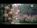 Soft Rain in a Peaceful Garden 🌧️ Calm Rain Sounds for Deep Sleep #017