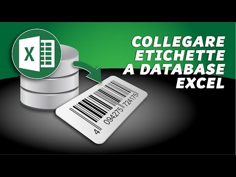 Video: Dove sono le etichette in Excel?