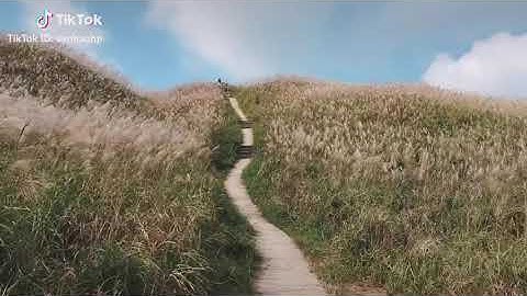 Đường Lên Cột Mốc 1297 Ở Bắc Xa Đình Lập Lạng Sơn