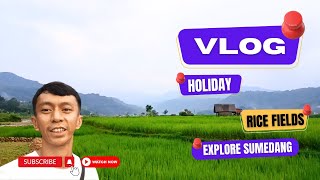 Keindahan Alam Sawah Sumedang: Tempat Wajib Kunjungi