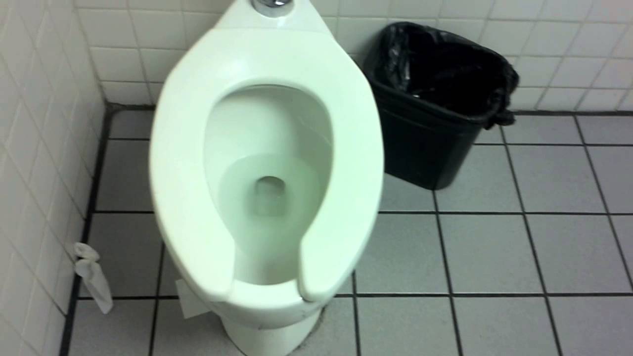 pooping in the toilets YouTube
