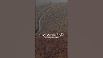 تلاوة خاشعة و هادئة بصوت الشيخ ياسر الدوسري سورة الشوري #ياسر_الدوسري #قران_كريم #قرآن #تلاوة_خاشعة
