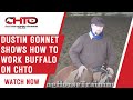Dustin Gonnet Shows How To Work Buffalo On CHTO 