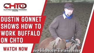Dustin Gonnet Shows How to Work Buffalo on CHTO