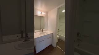 IMG 6300