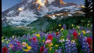 Sealed With A Kiss instrumental 