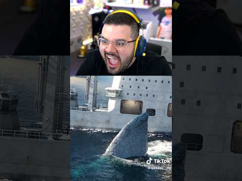 Proof The Megalodon Is Real...