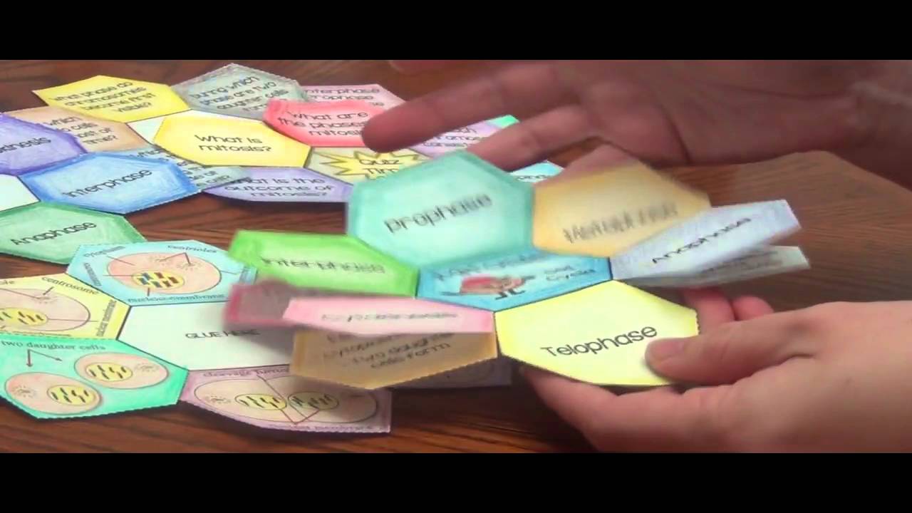 Mitosis Foldable - YouTube.
