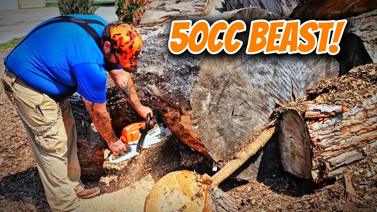 STIHL 261C Pro Chainsaw Powerful Enough for a Huge Maple Log? - YouTube