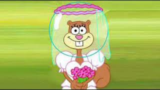Sandy Cheeks - You Belong With Me (AI cover) 海綿寶寶 珊迪 AI翻唱