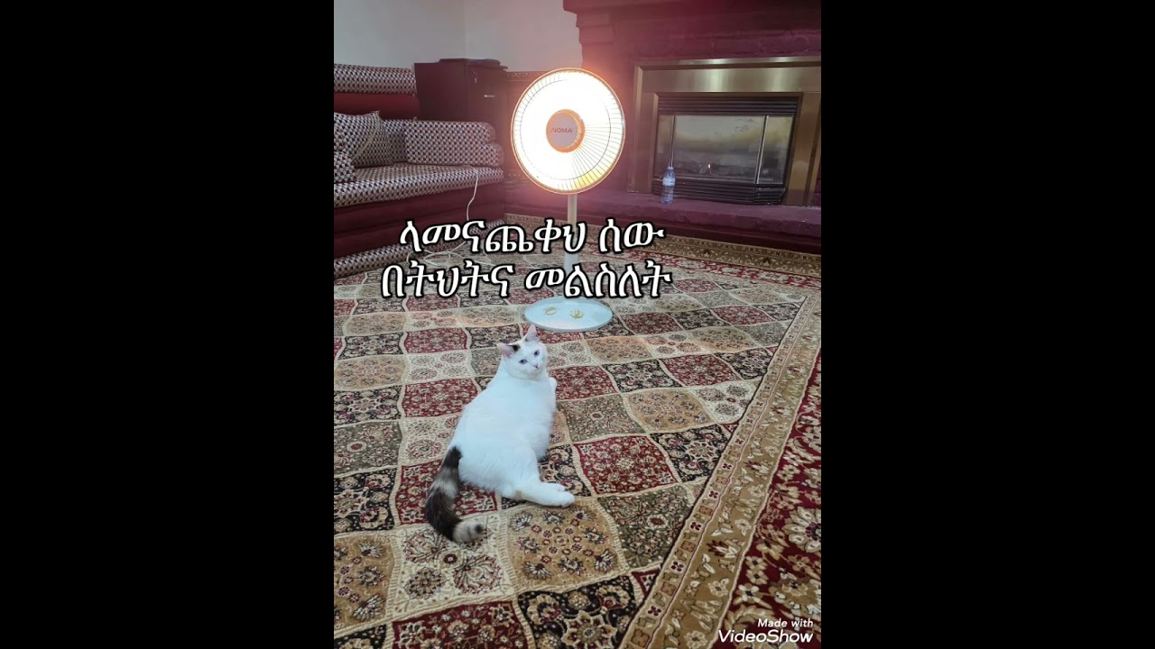 ላመናጨቀህ ሰው በትህትና መልስለት