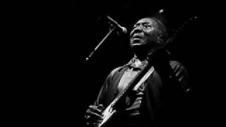 Video thumbnail of "Muddy Waters - I Feel Like Going Home (audio)"