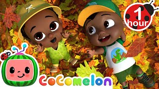 colorful autumn leaves more cocomelon its cody time songs for kids nursery rhymes