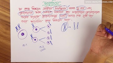 ০২৪) অধ্যায় ২ - কোষ বিভাজন:  মায়োসিস কোষ বিভাজন কী? (What Is Myosys Cell Division?) [HSC]