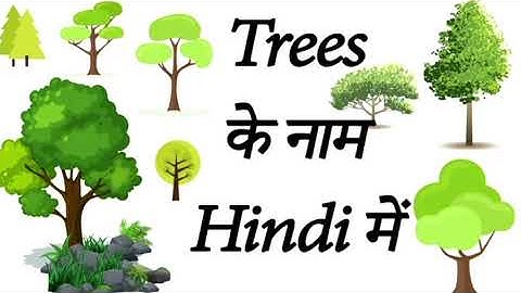 Tree Names In Hindi & English | पेड़ पौधों के नाम | Plants Name | Different kind of Tree and Plant